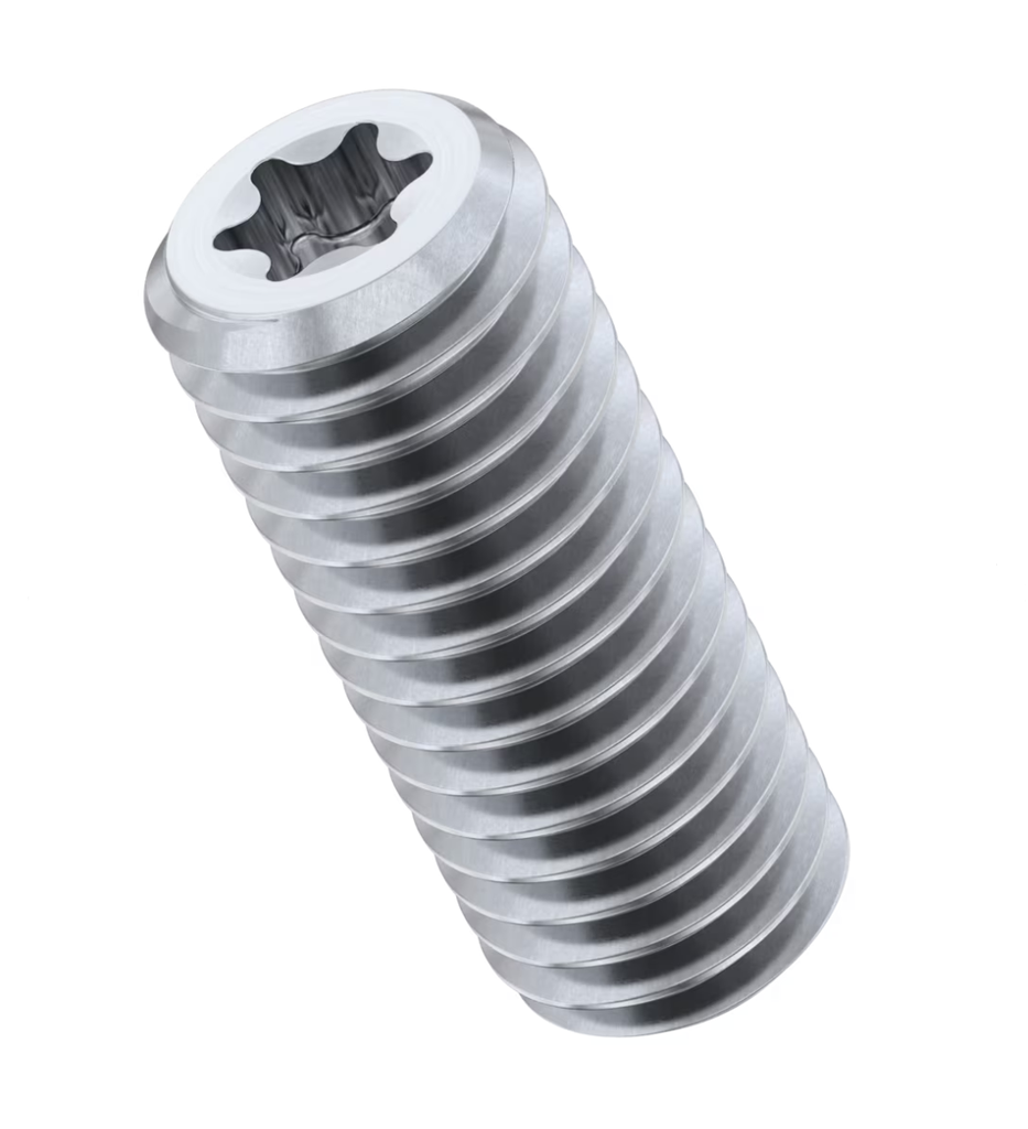 [FXM6TGS20SS] M6 x 20mm Torx Head Flat Point Set / Grub Screws - Stainless Steel (A2)
