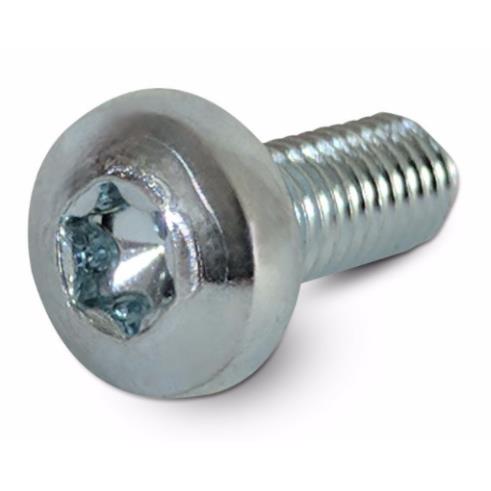 [FXM6TPHM10SS] M6 x 10 mm Stainless Torx Pan Head bolts (A2 SS)